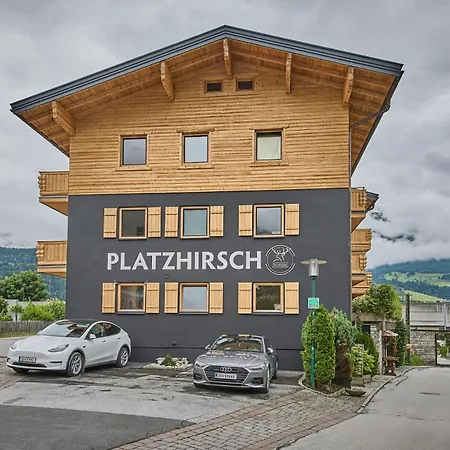 Guest house Platzhirsch - - Self Check-in Piesendorf