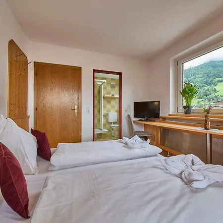 Platzhirsch - - Self Check-in Guest house Piesendorf