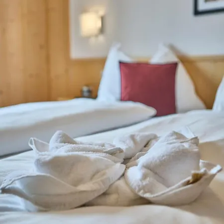 Guest house Platzhirsch - - Self Check-in 3*