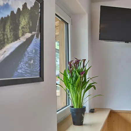 Guest house Platzhirsch - - Self Check-in Piesendorf