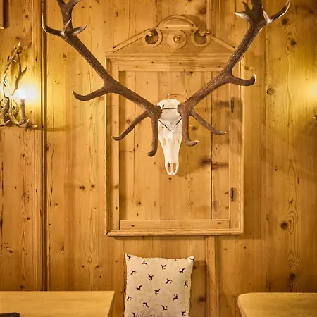 Platzhirsch - - Self Check-in Guest house *