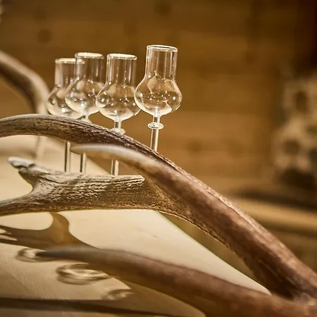 Platzhirsch - - Self Check-in