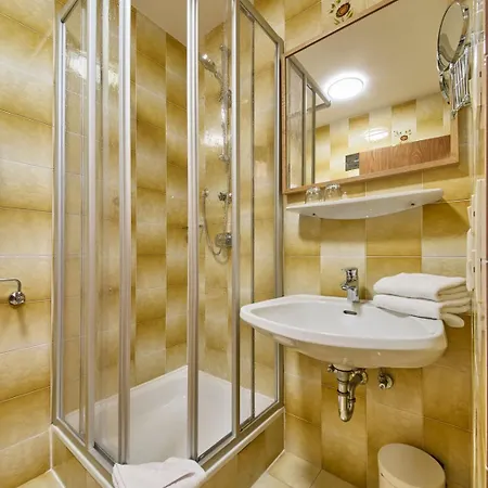 Platzhirsch - - Self Check-in Guest house *